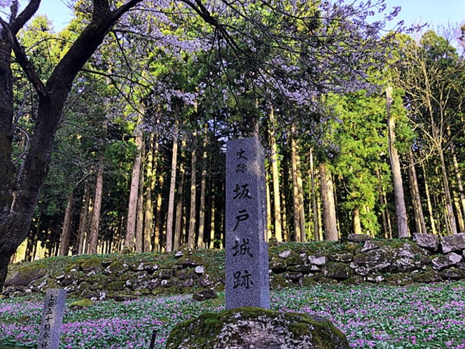 坂戸城跡（当ロッヂから車で約25分＆徒歩5分）