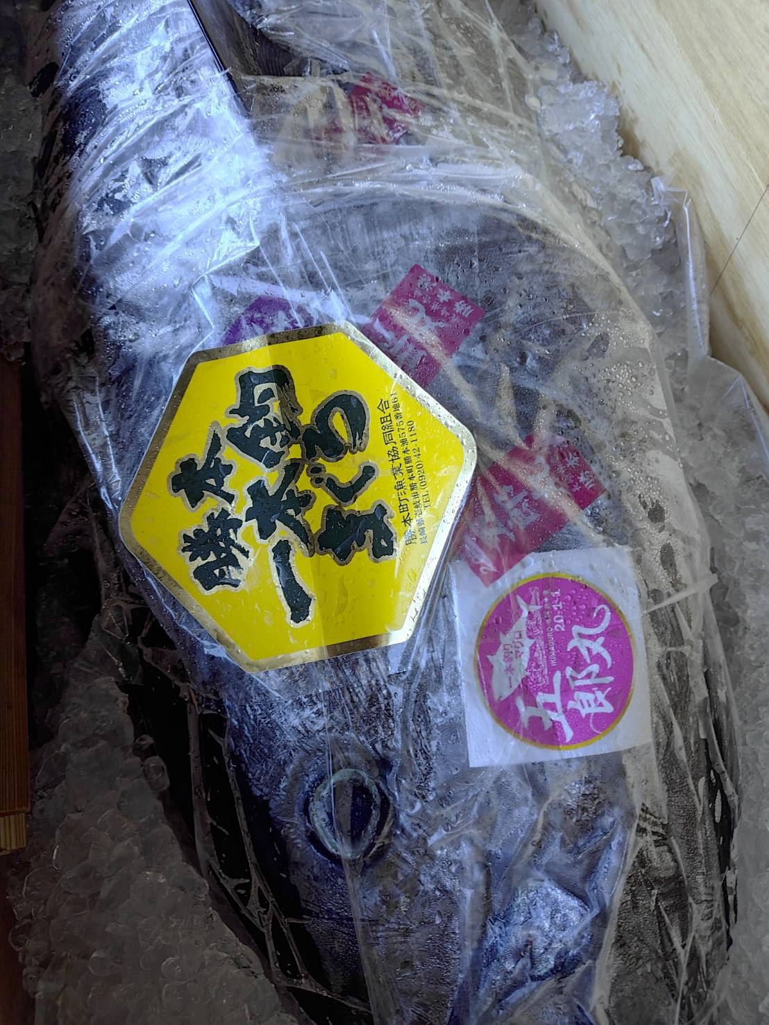 【連泊2食付】壱岐産本マグロ・ヤリイカ×壱岐牛ハンバーグ＆焼酎飲放題｜温泉チケット付 長崎県しま旅