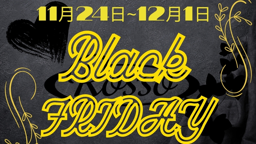 ブラックフライデー特別プラン