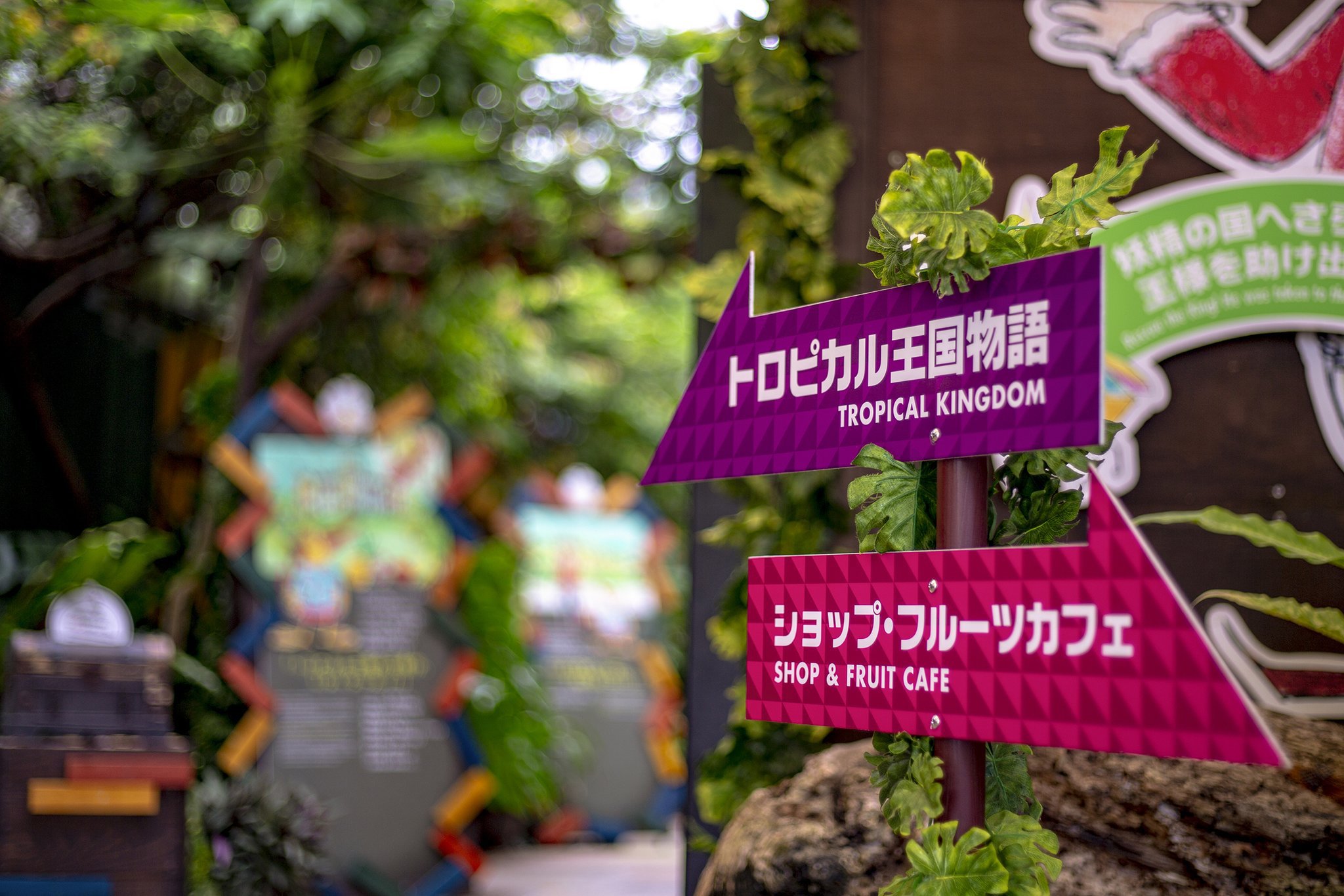 写真5