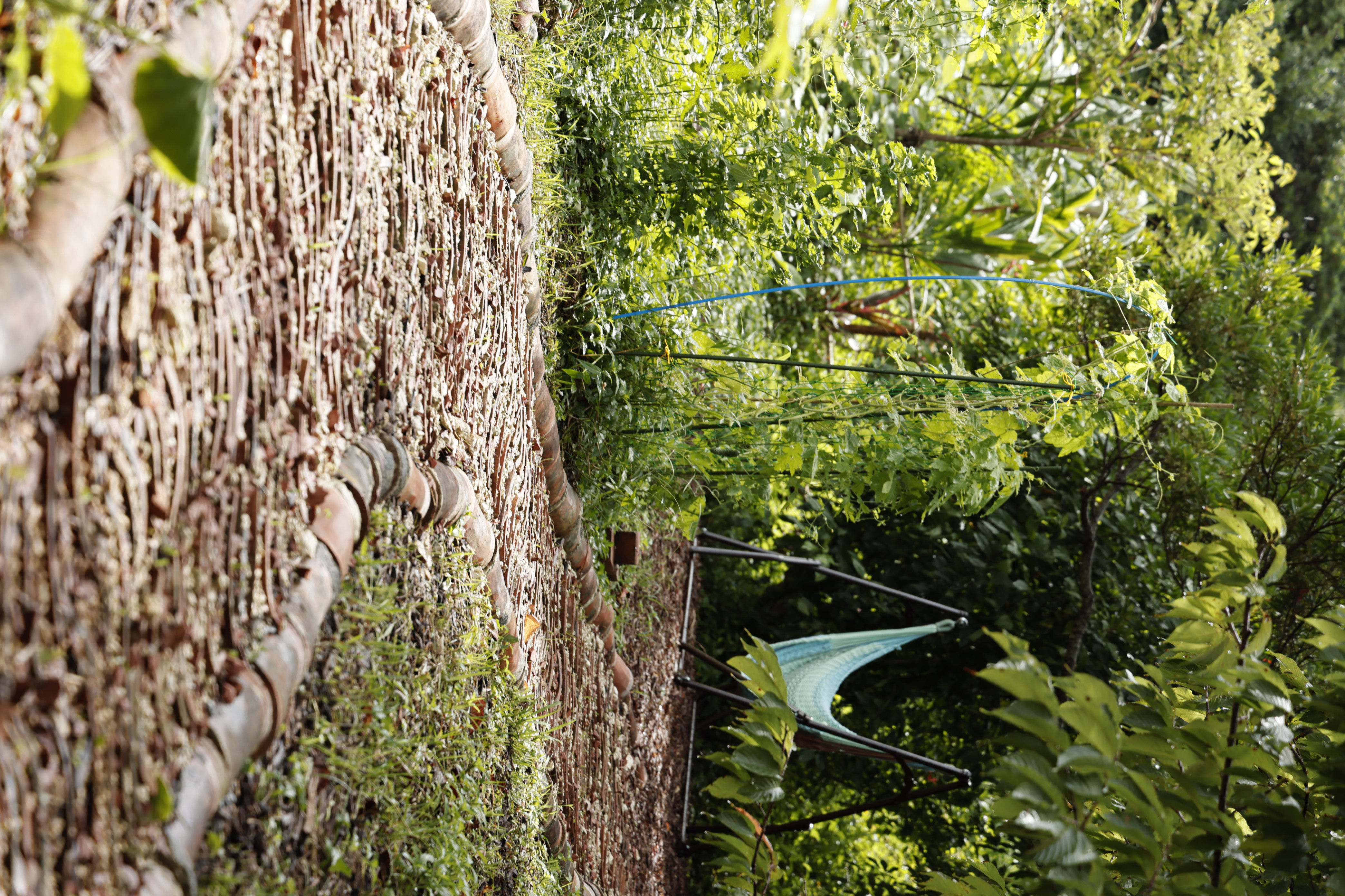 琉球瓦の小径とハンモック　