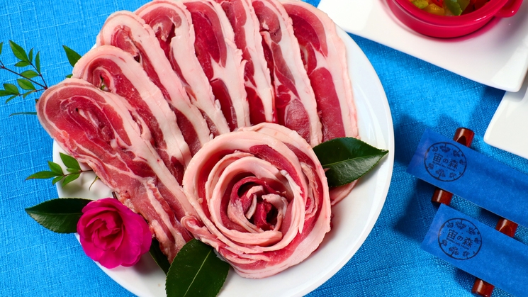 ジビエ料理☆高タンパク！低カロリー！地元産イノシシ肉◆しゃぶしゃぶorぼたん鍋◆選べるプラン♪2食付