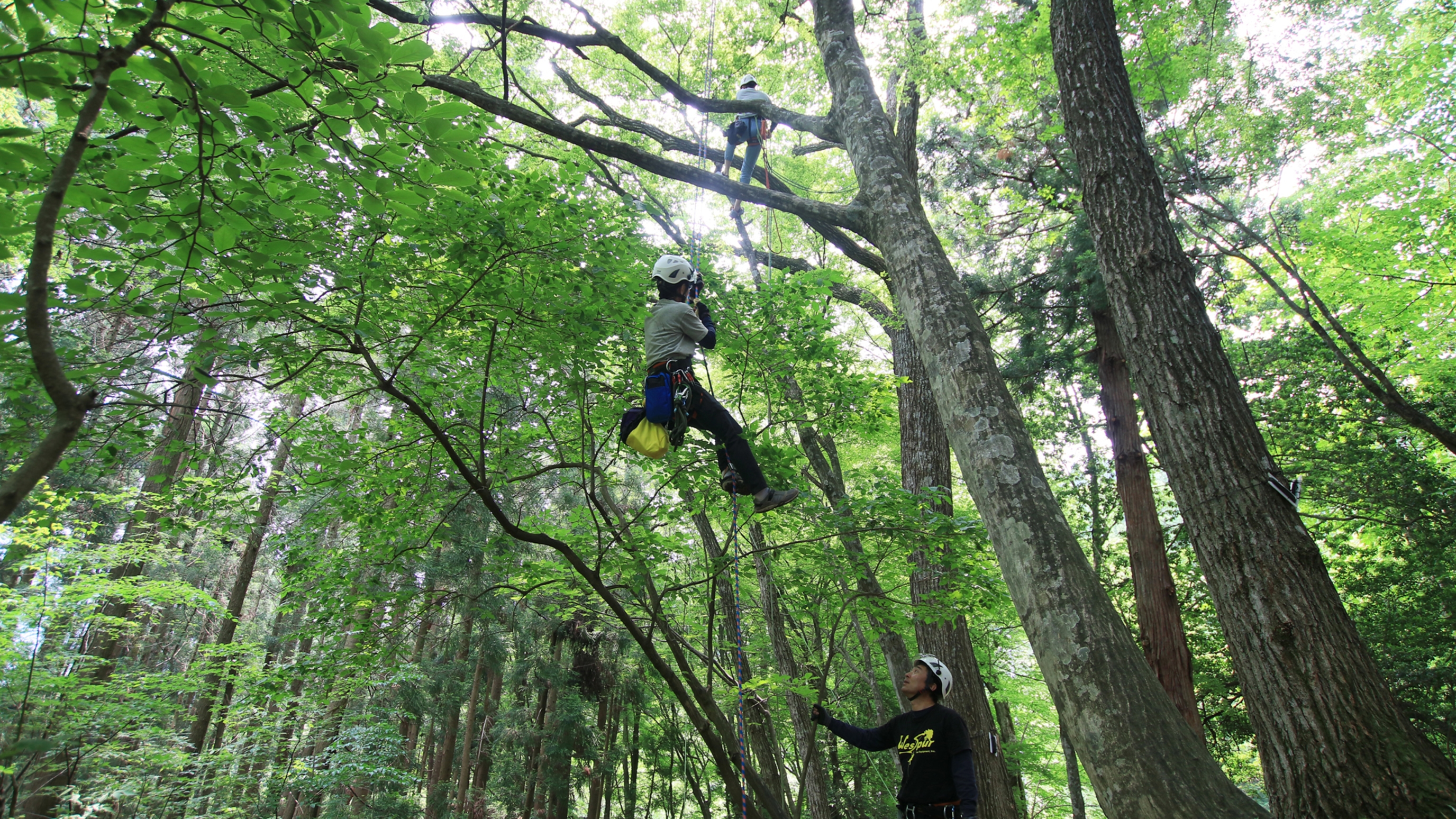 宙の森ホテル 花郷里