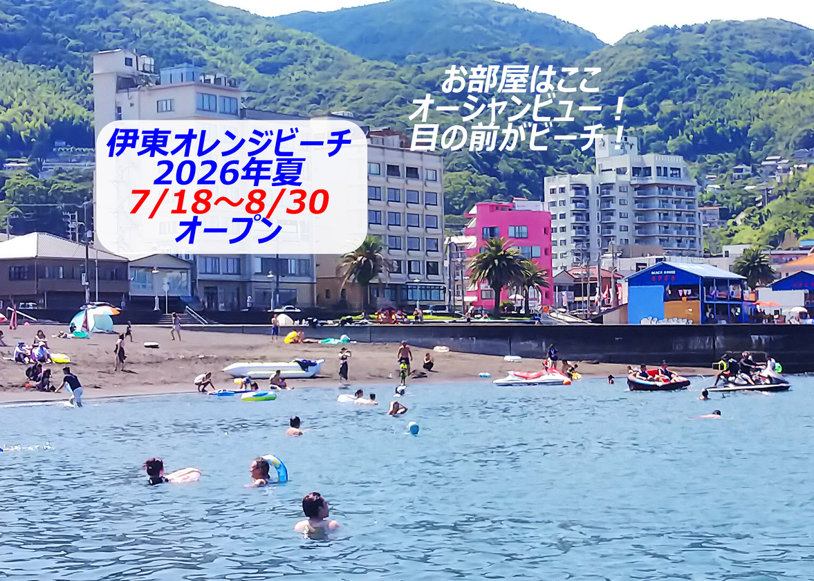 写真1