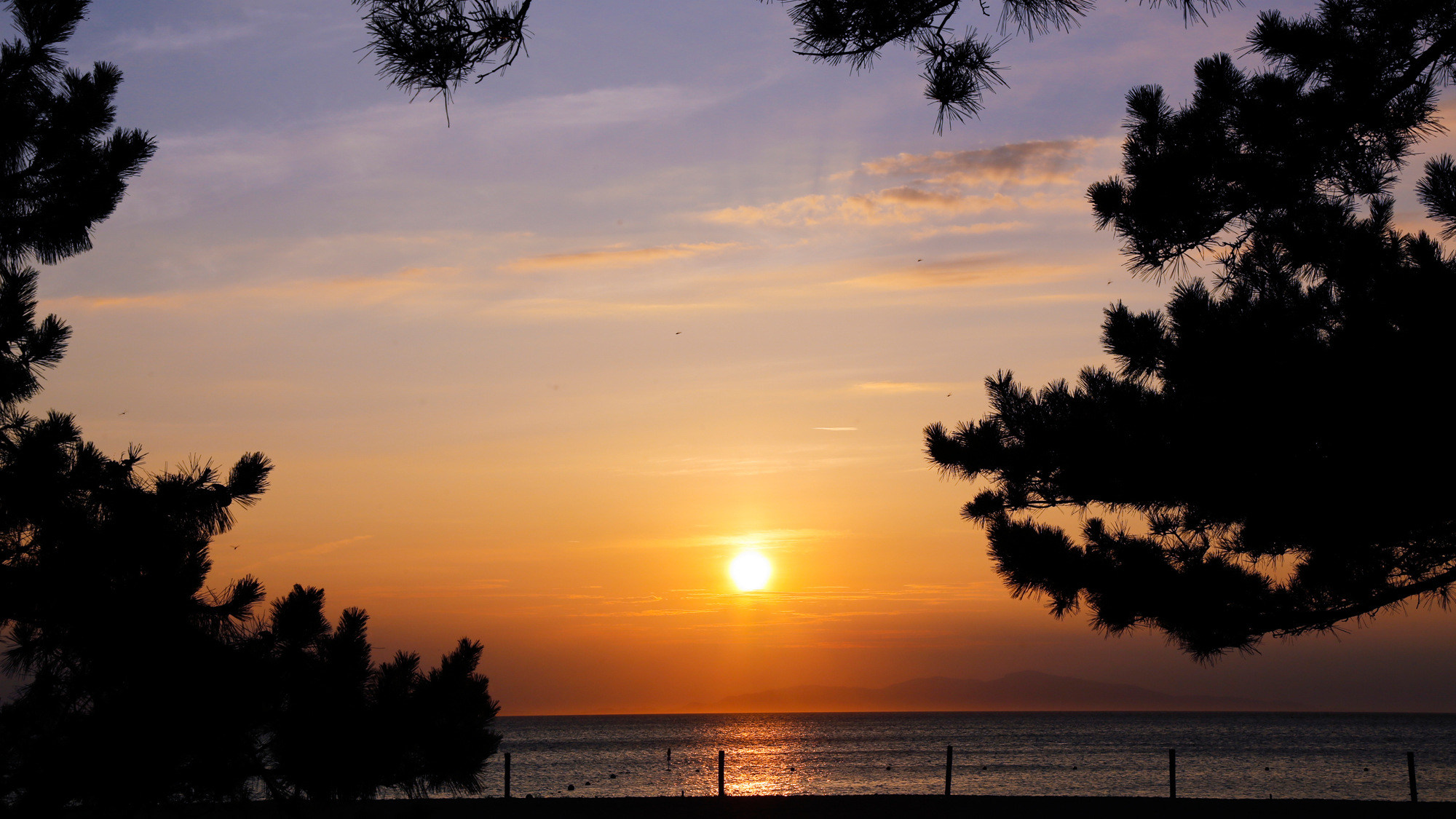 【慶野松原海水浴場】日本の夕陽百選にも選ばれている西海岸のビーチ（車20分）