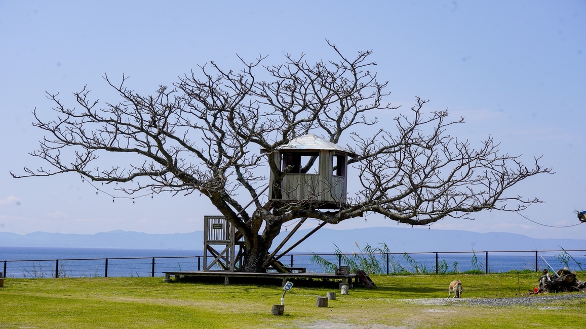 ユクサ特製しゃぶしゃぶ（2食付）ビタミン豊富な黒豚を堪能【ワンドリンク付】