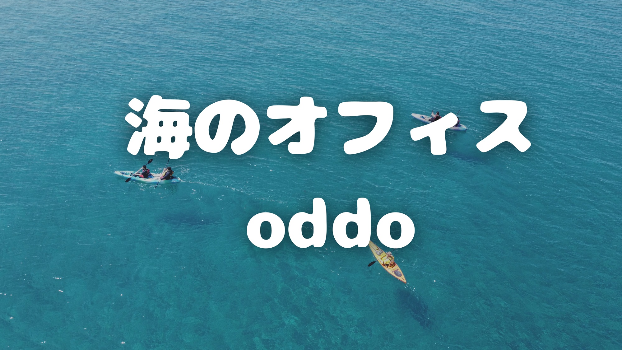 海のオフィス oddo