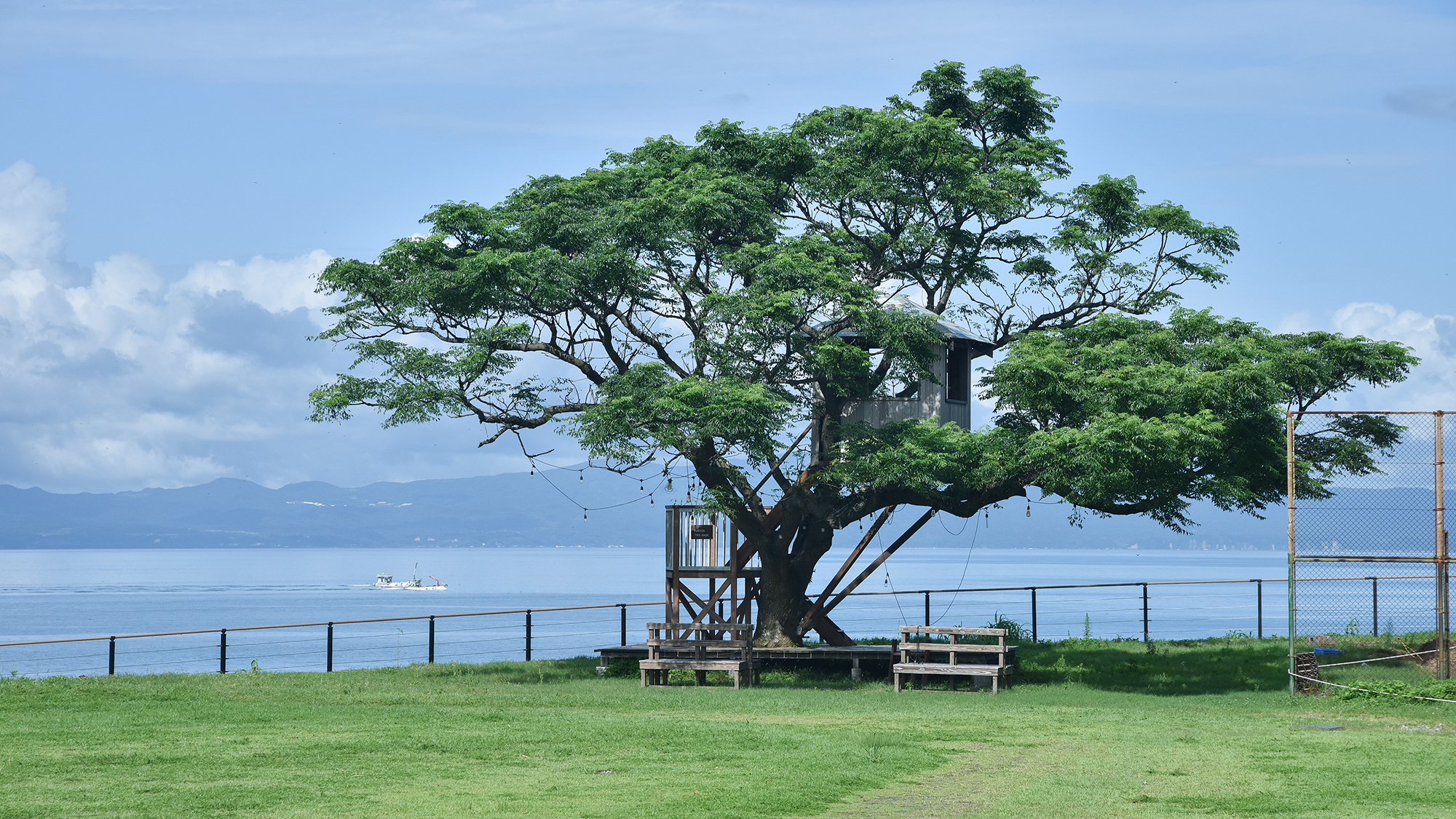 *【校庭/ツリーハウス】いくつになっても憧れる、木の上の秘密基地。