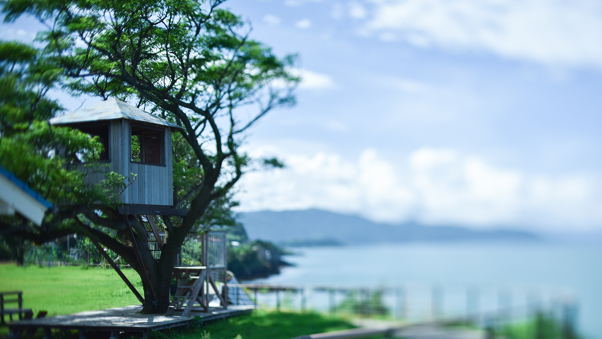 *【校庭/ツリーハウス】景色も最高！