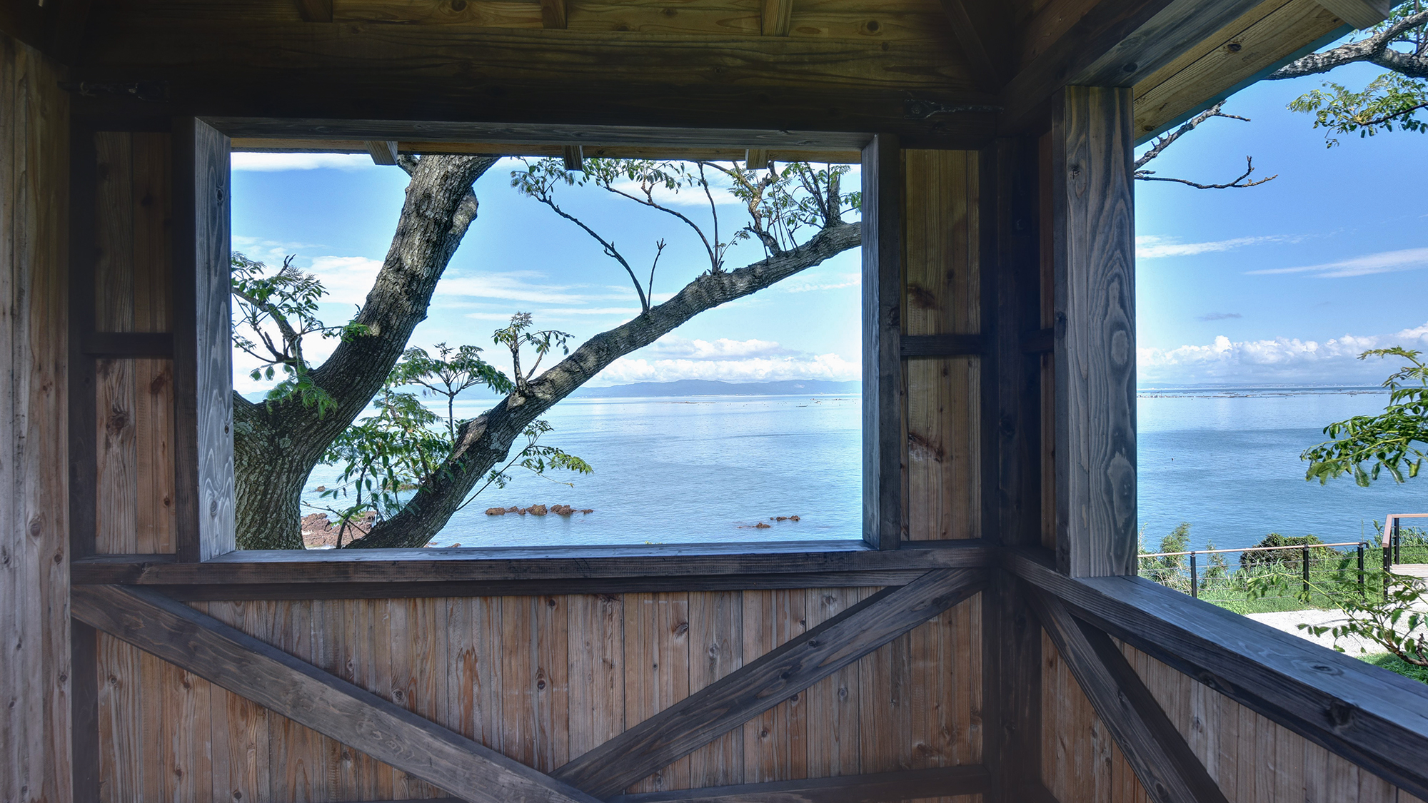 *【校庭/ツリーハウス】ツリーハウスからの眺めはどんな景色？ぜひ登ってお確かめください。