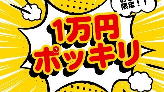 1万円ポッキリ
