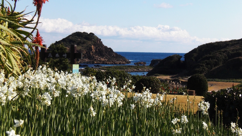 【早春】暖かい伊豆で水仙祭りを楽しむ♪地魚の舟盛付き！