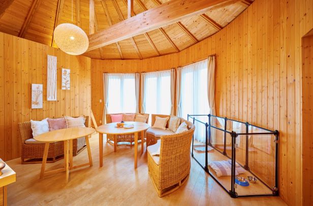 森のドッグコクーン