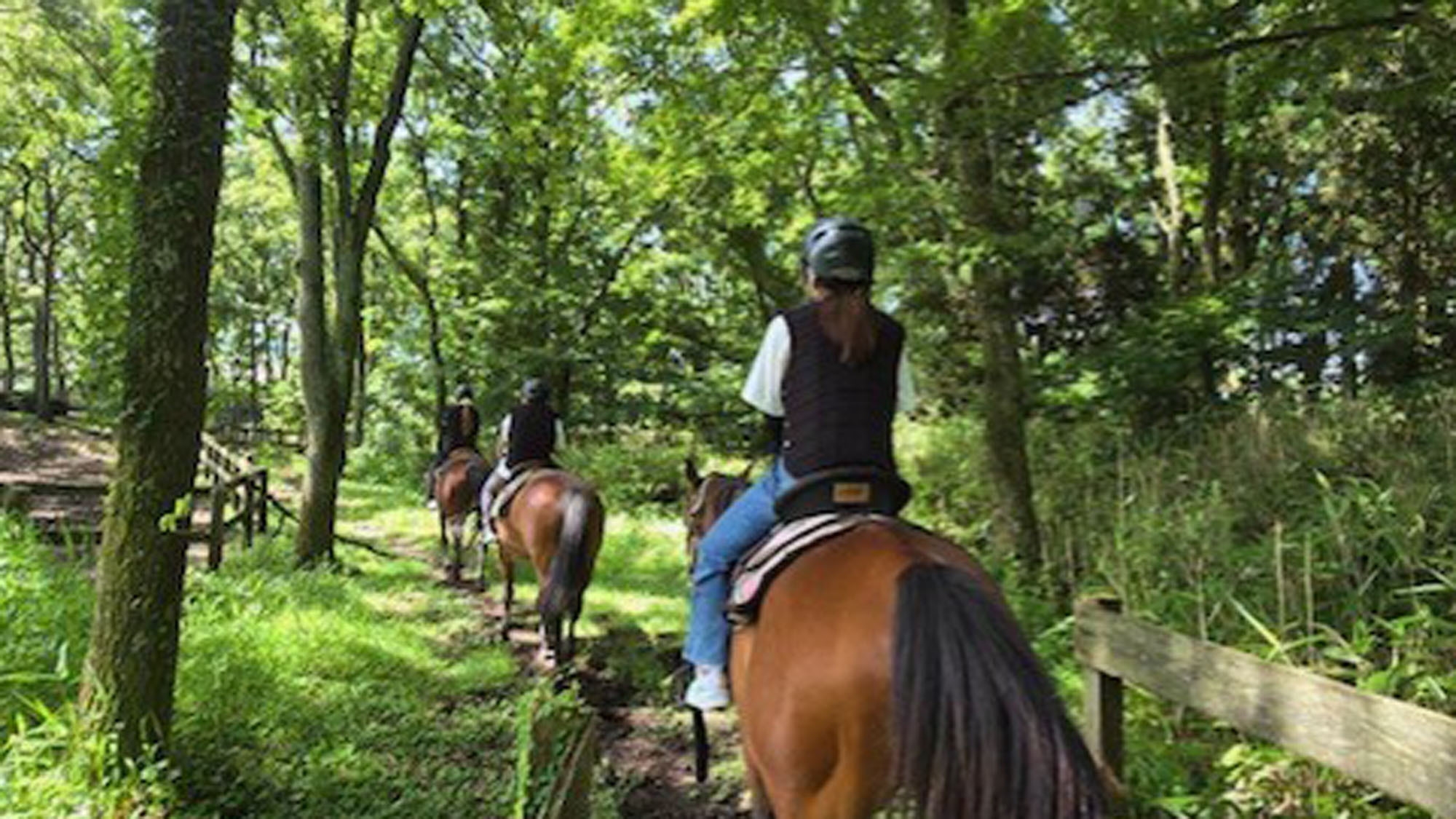 【体験料が10％オトク】乗馬クラブ「EL RANCHO GRANDE」で乗馬を楽しもう☆【朝食付】