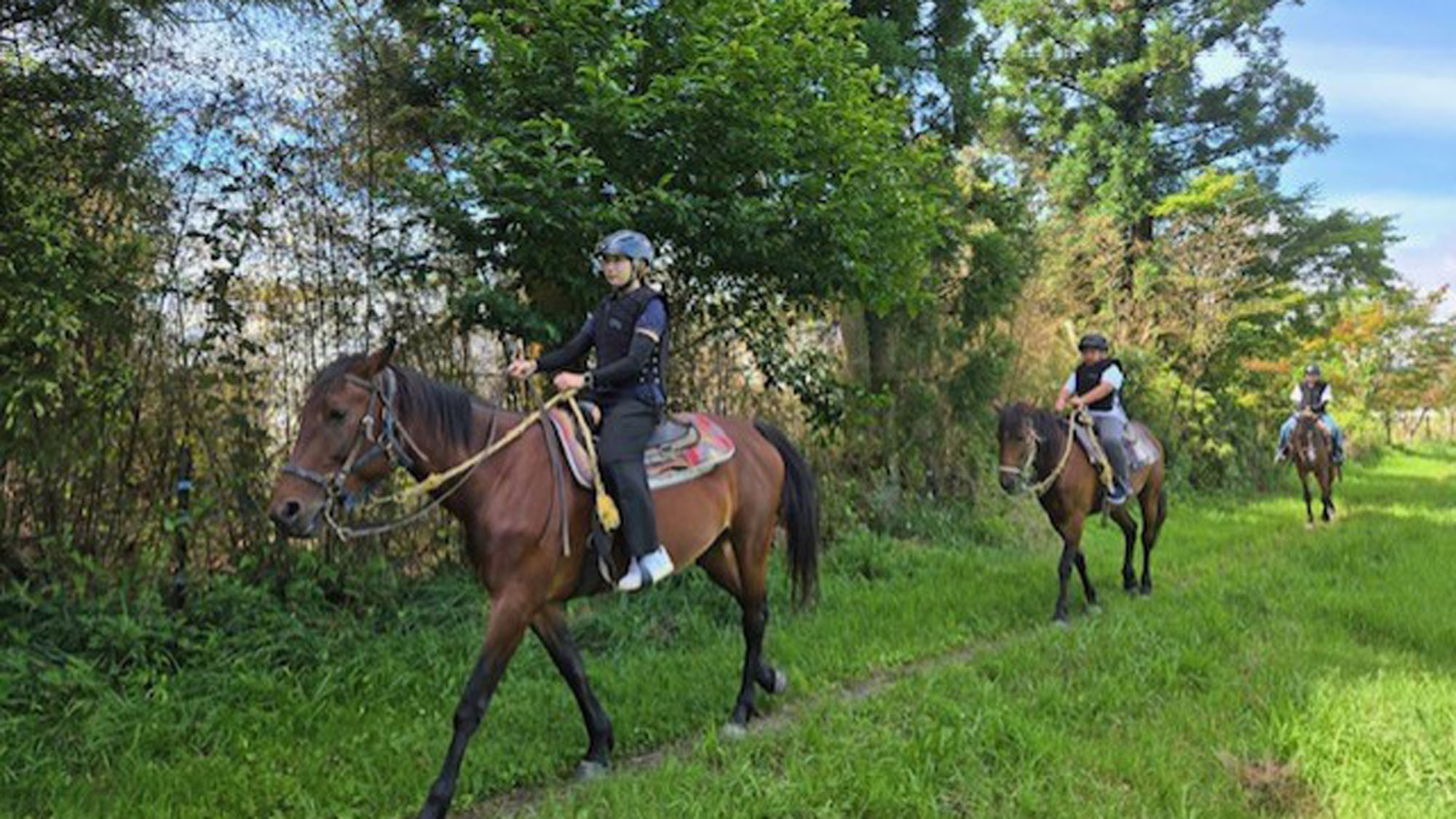 【体験料が10％オトク】乗馬クラブ「EL RANCHO GRANDE」で乗馬を楽しもう☆【朝食付】