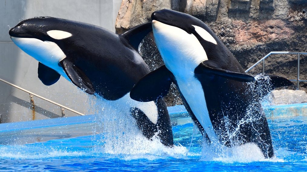 【ファミリー・朝食付】名古屋港水族館大人チケット付き☆名古屋駅桜通口から徒歩約9分！