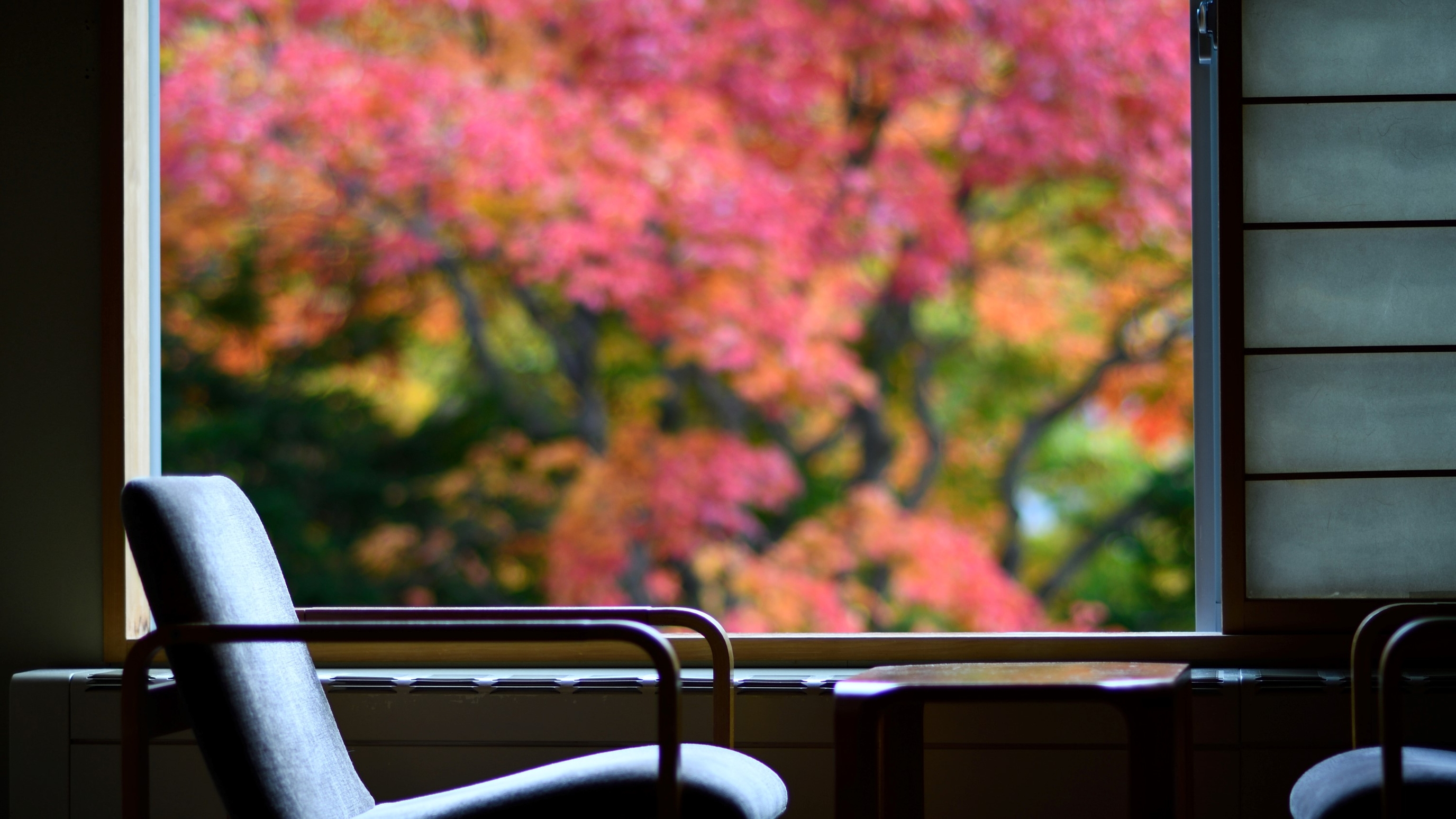 【女性のための宿 翠蝶館】