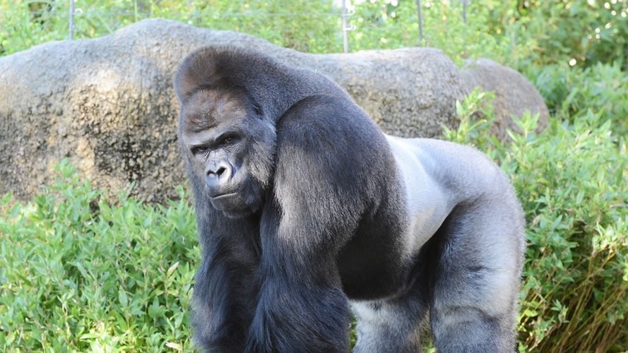 【ファミリー・朝食付き】東山動植物園チケット付☆18歳以下添い寝無料