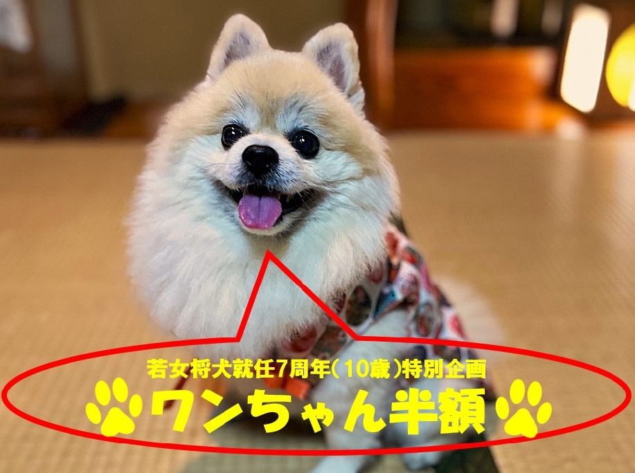 【若女将犬（リンク）10歳特別企画】 ペット料金半額で季節の地魚舟盛と炉ばた焼を楽しもう！