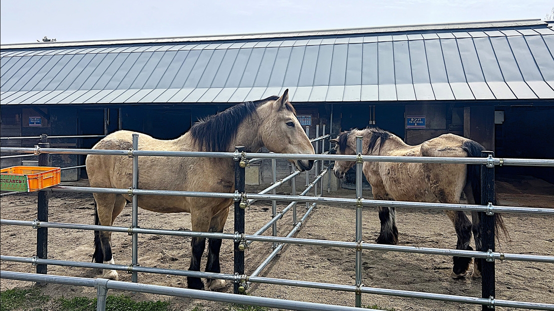 【ファミリー旅行】観光・温泉・カラオケまで！1泊2食付創作和食膳＋ハーフバイキングプラン
