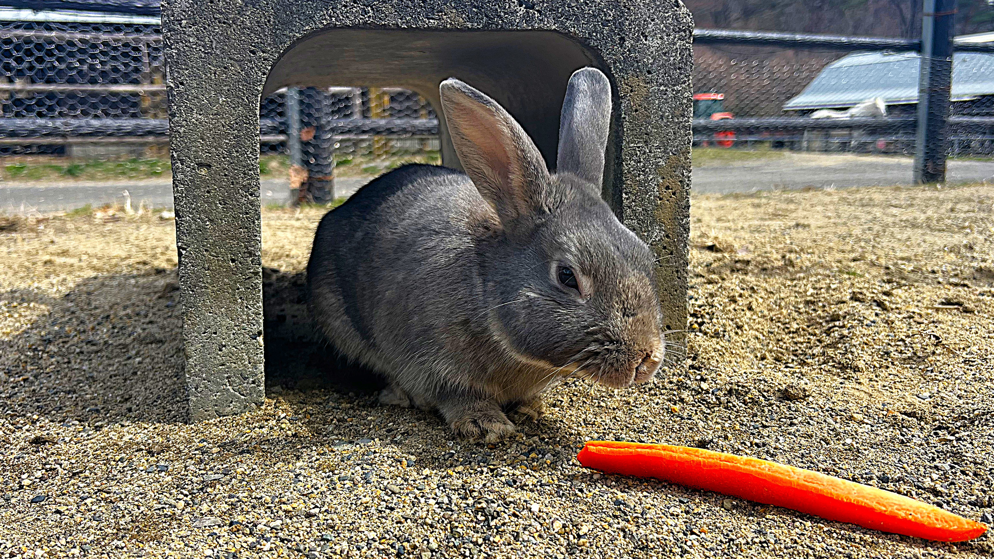 石筵ふれあい牧場