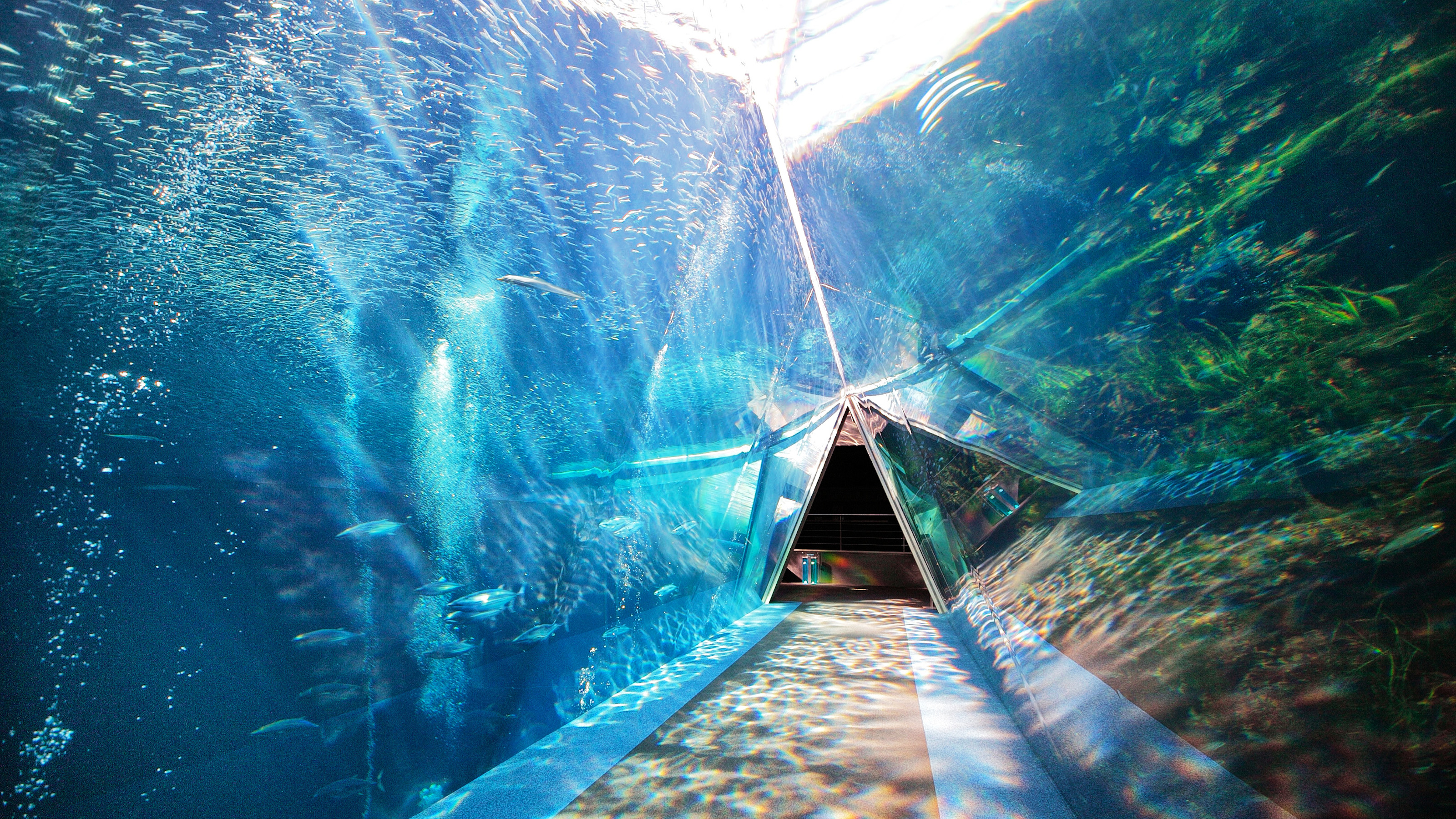 アクアマリンふくしま