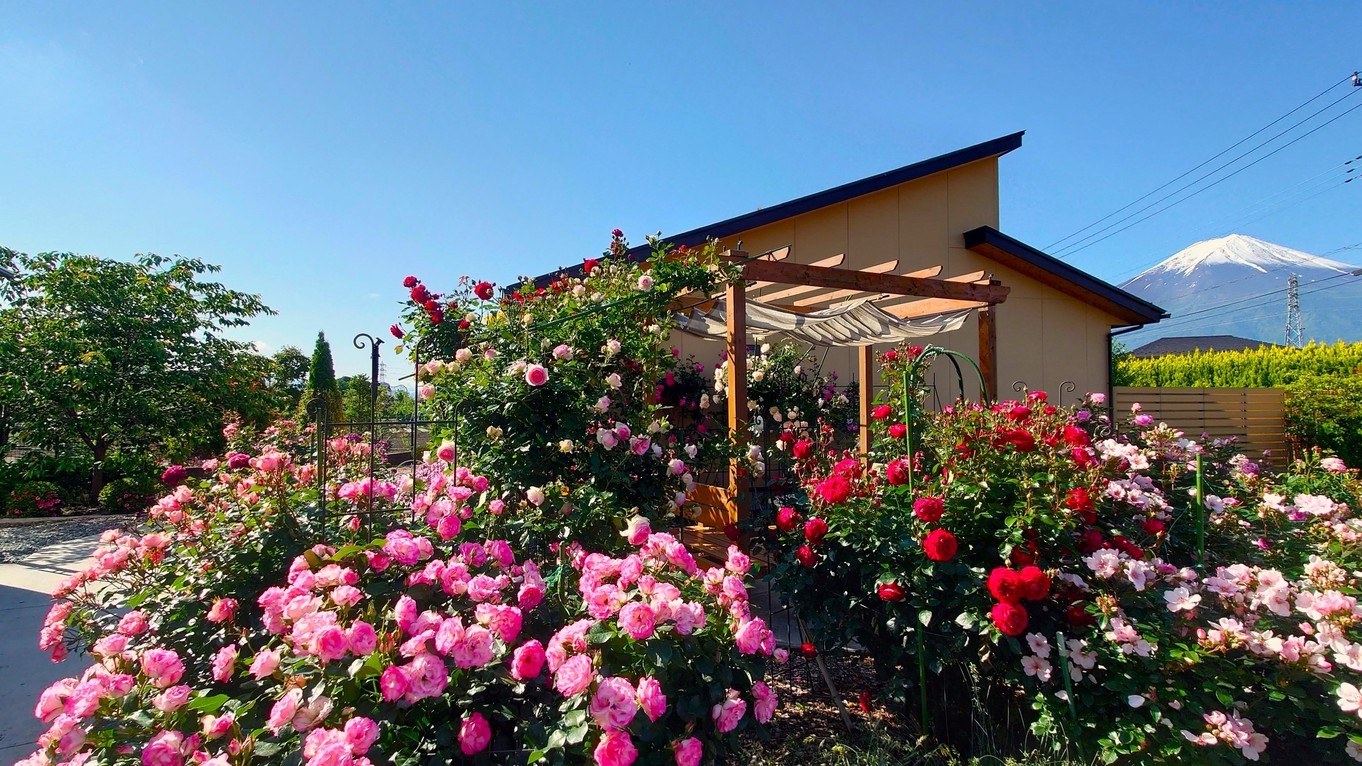 【朝食付き】春・初夏はおもてなしに心も温まる♪モーニングバスケットをお部屋にお届け