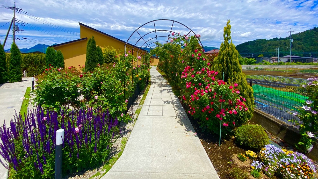 【期間限定】【朝食付】薔薇香る庭園で寛ぐ バラフェスタ特別プラン
