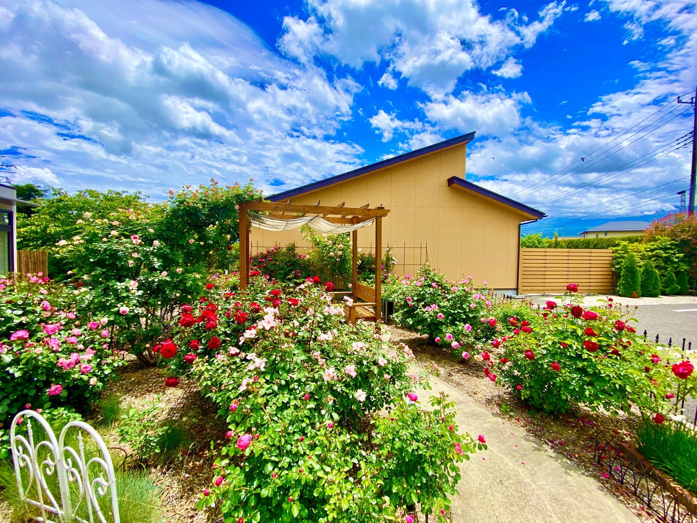 【期間限定】【素泊】薔薇香る庭園で寛ぐ バラフェスタ特別プラン