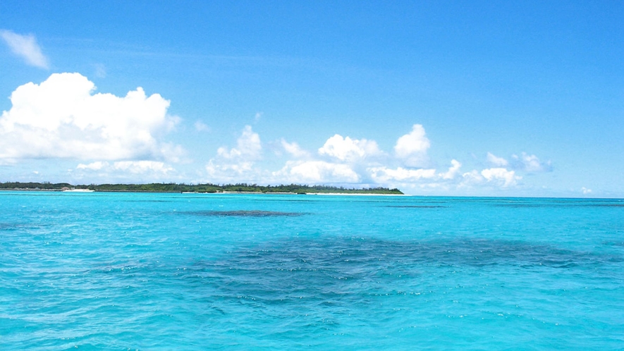 【海】青空と海、それぞれ異なる青の風景をお楽しみ頂けます！