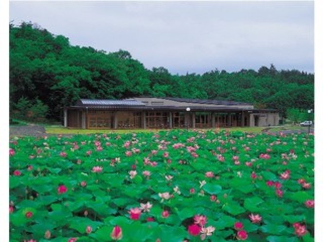 荒神谷遺跡