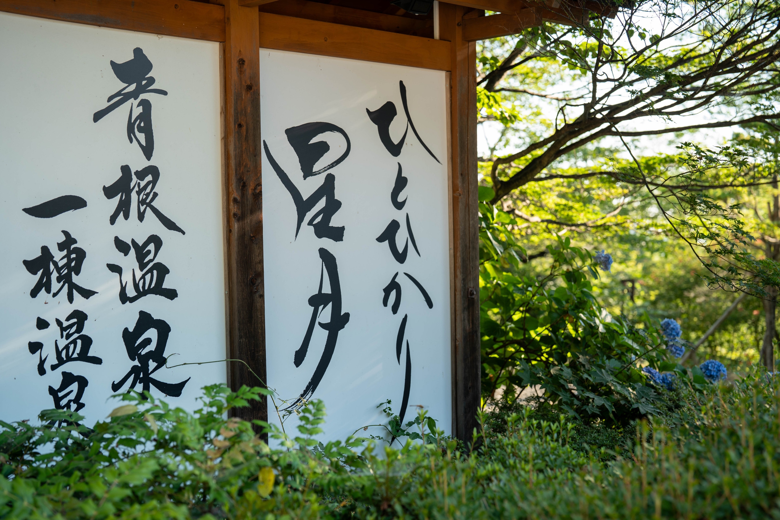 ＼選べる特典付／　-素泊-　...Starry Night...　　　＼冷蔵庫内ドリンク付／　