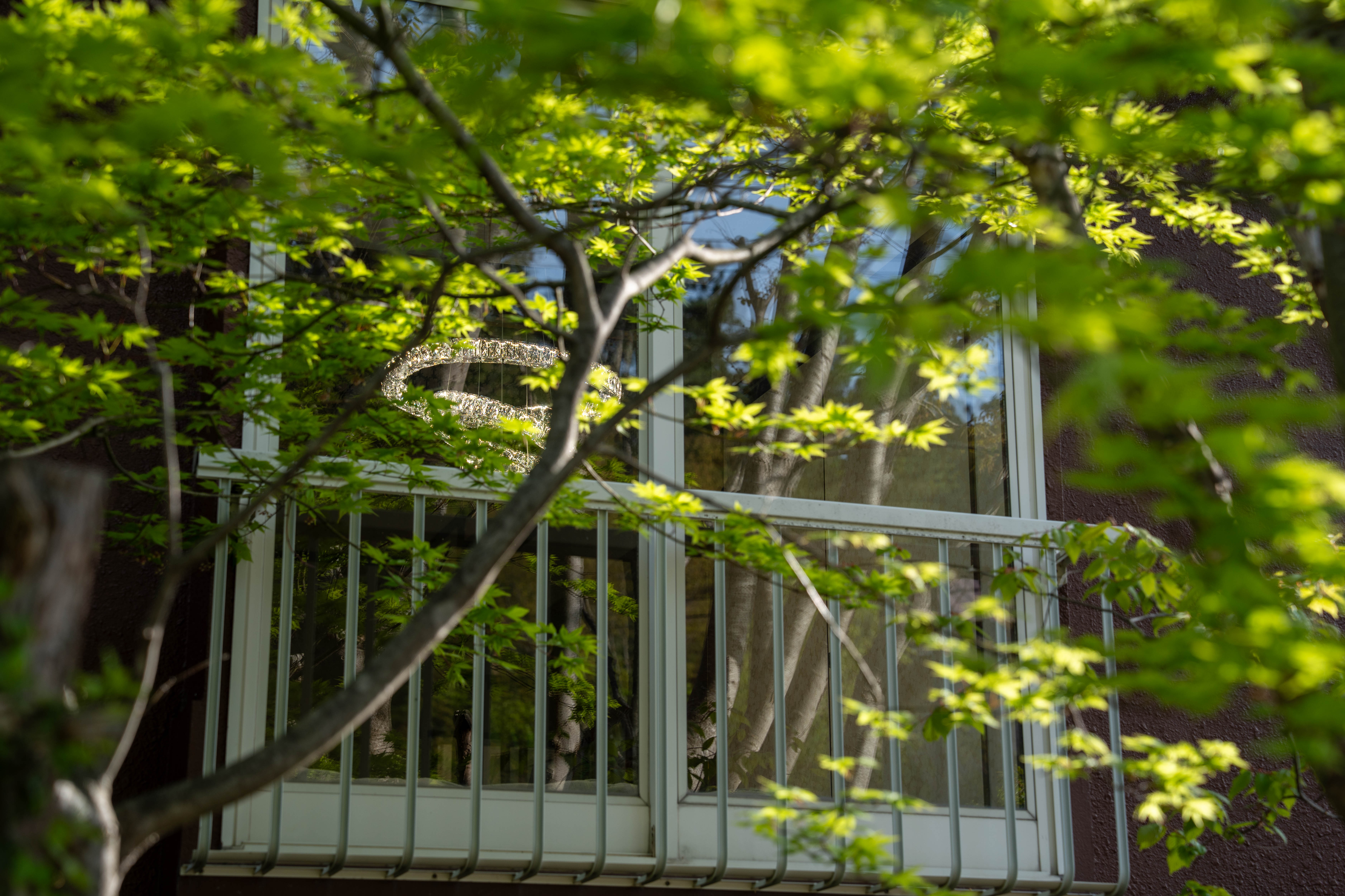 Caf&eacute; Lounge　アオネの庭　妙-tae-