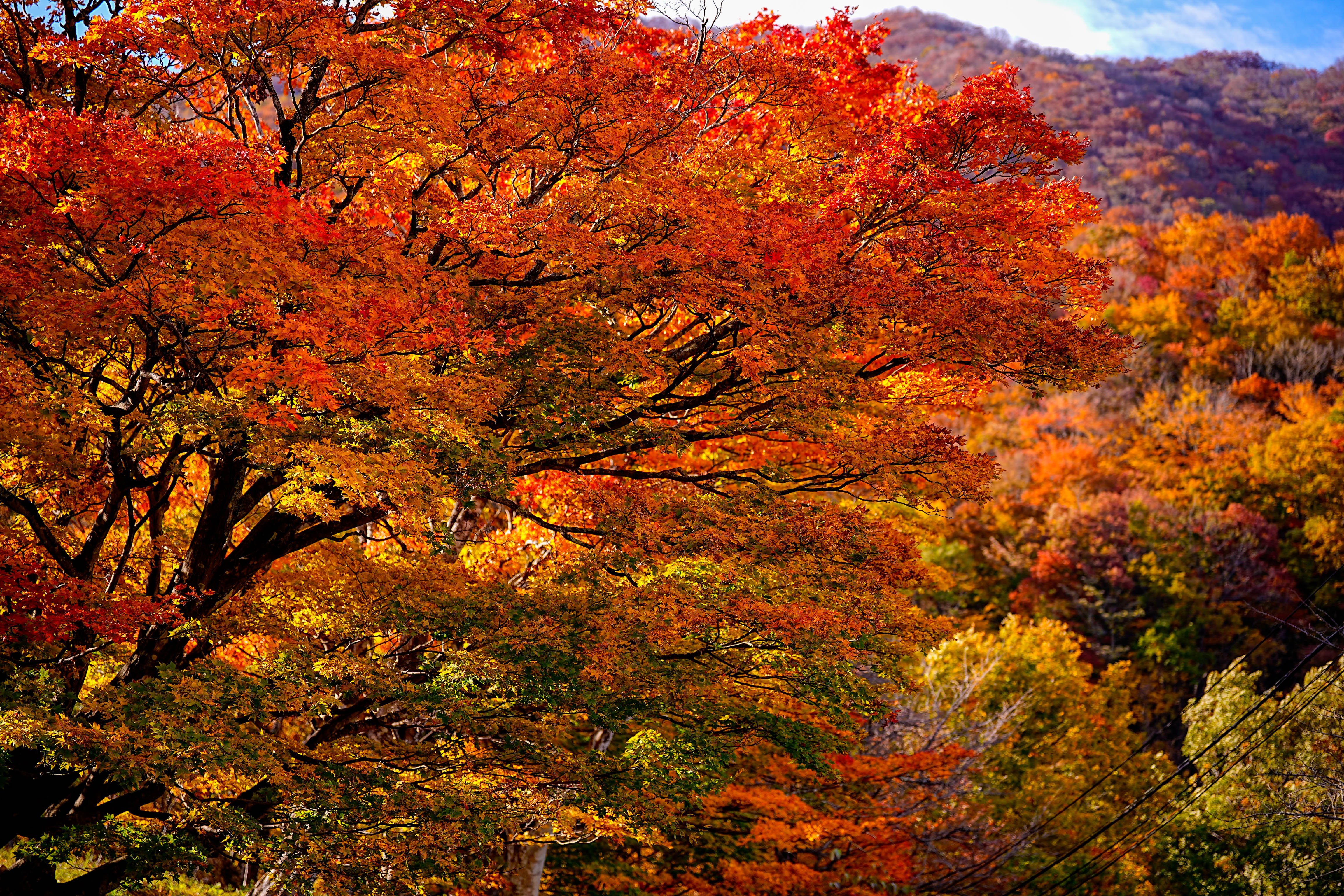 青根温泉の風景