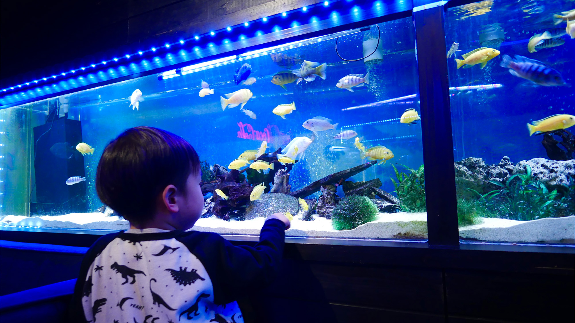 【アクアバー】お子様も興味津々♪