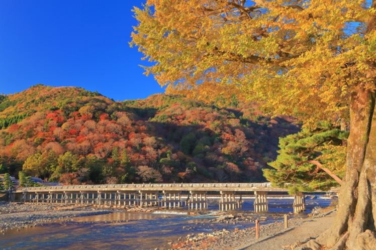 周辺環境写真　秋渡月橋