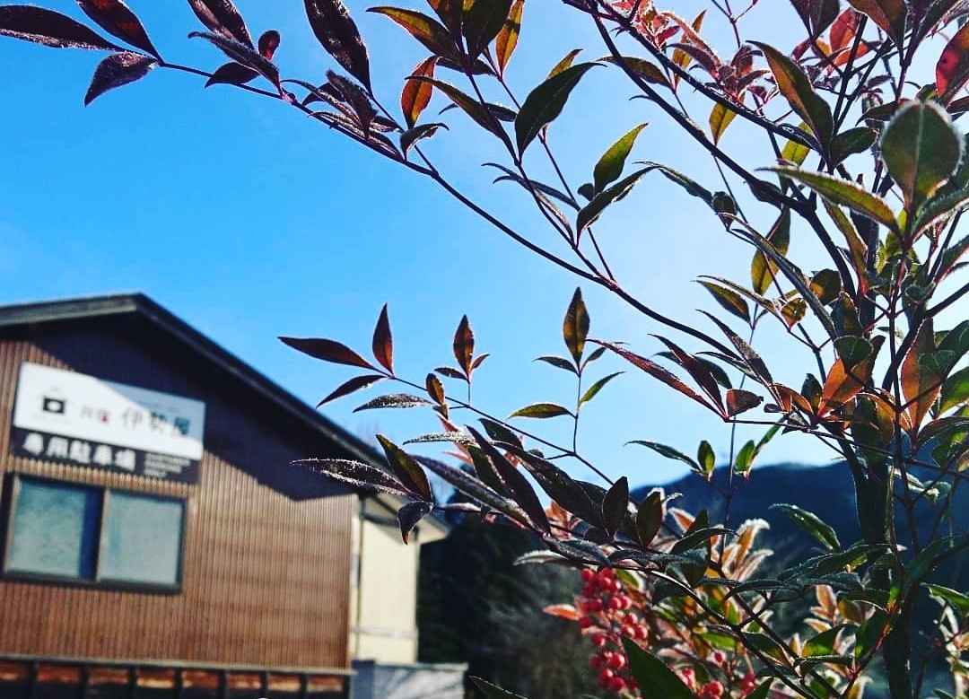 駐車スペースは乗用車4台分。 茶色の小屋に&ldquo;伊勢屋専用駐車場&rdquo;の白い看板が目印。 小屋と畑の間のスペースです。