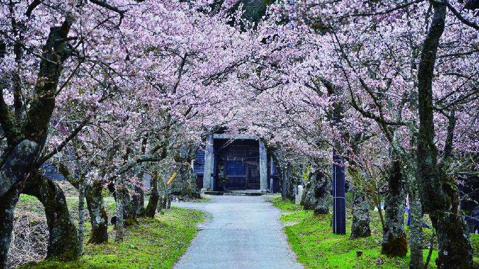 【周辺情報】茅部神社（当コテージから車で10分）