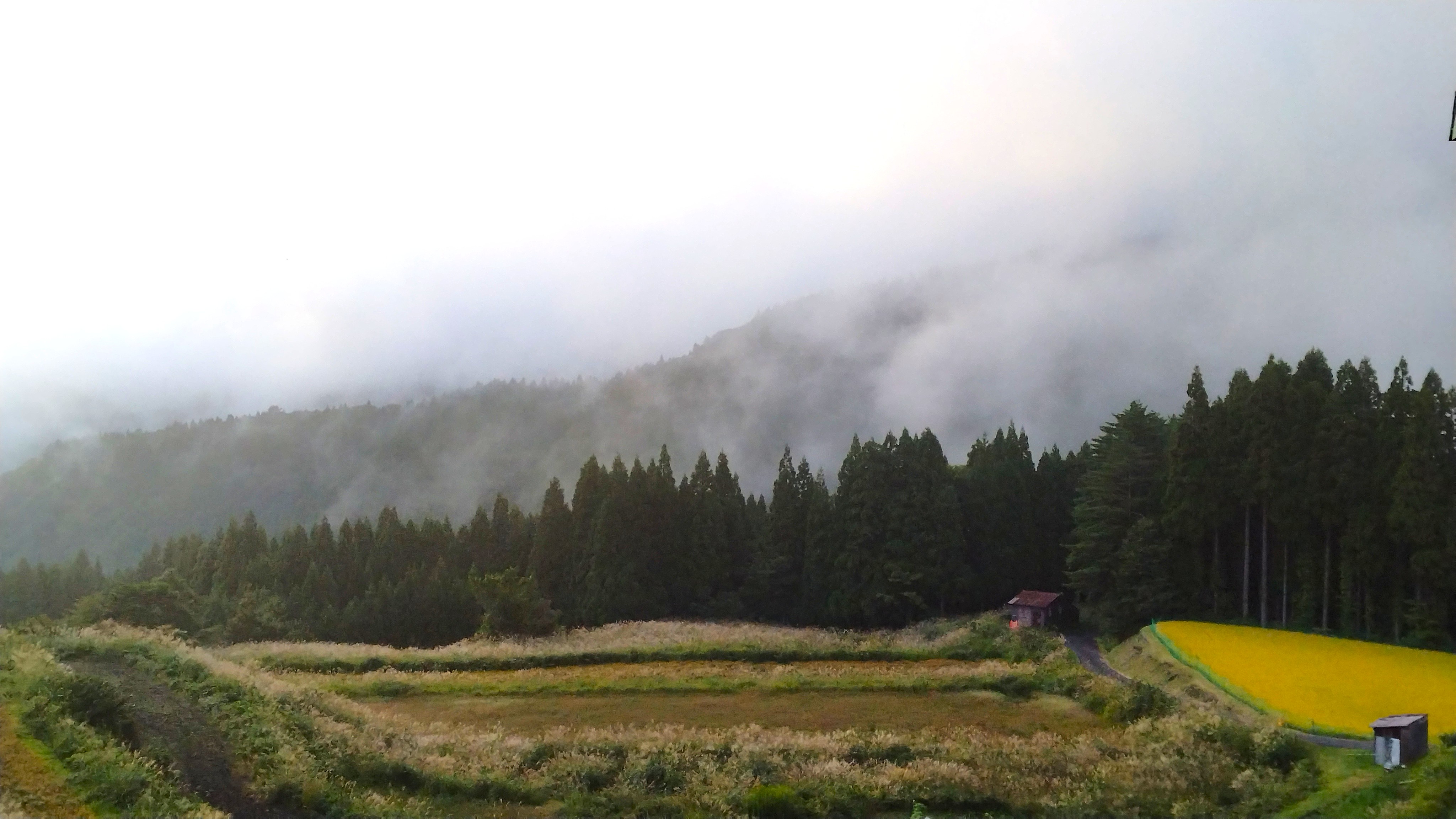 【施設からの景色】秋