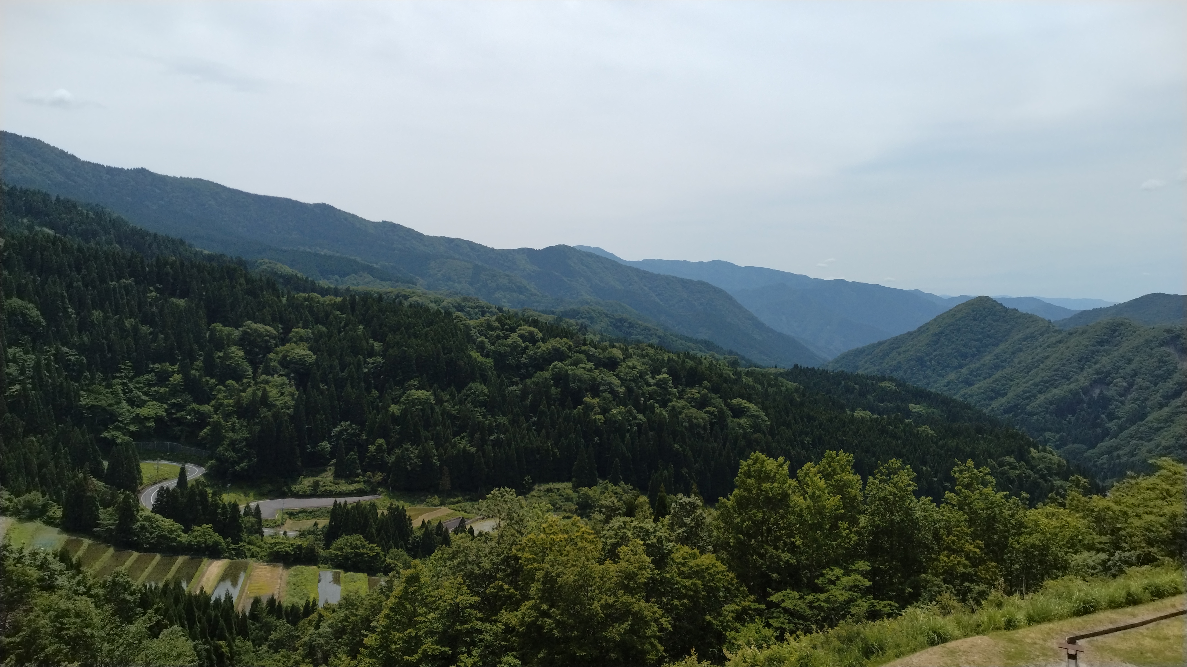 【施設からの景色】初夏