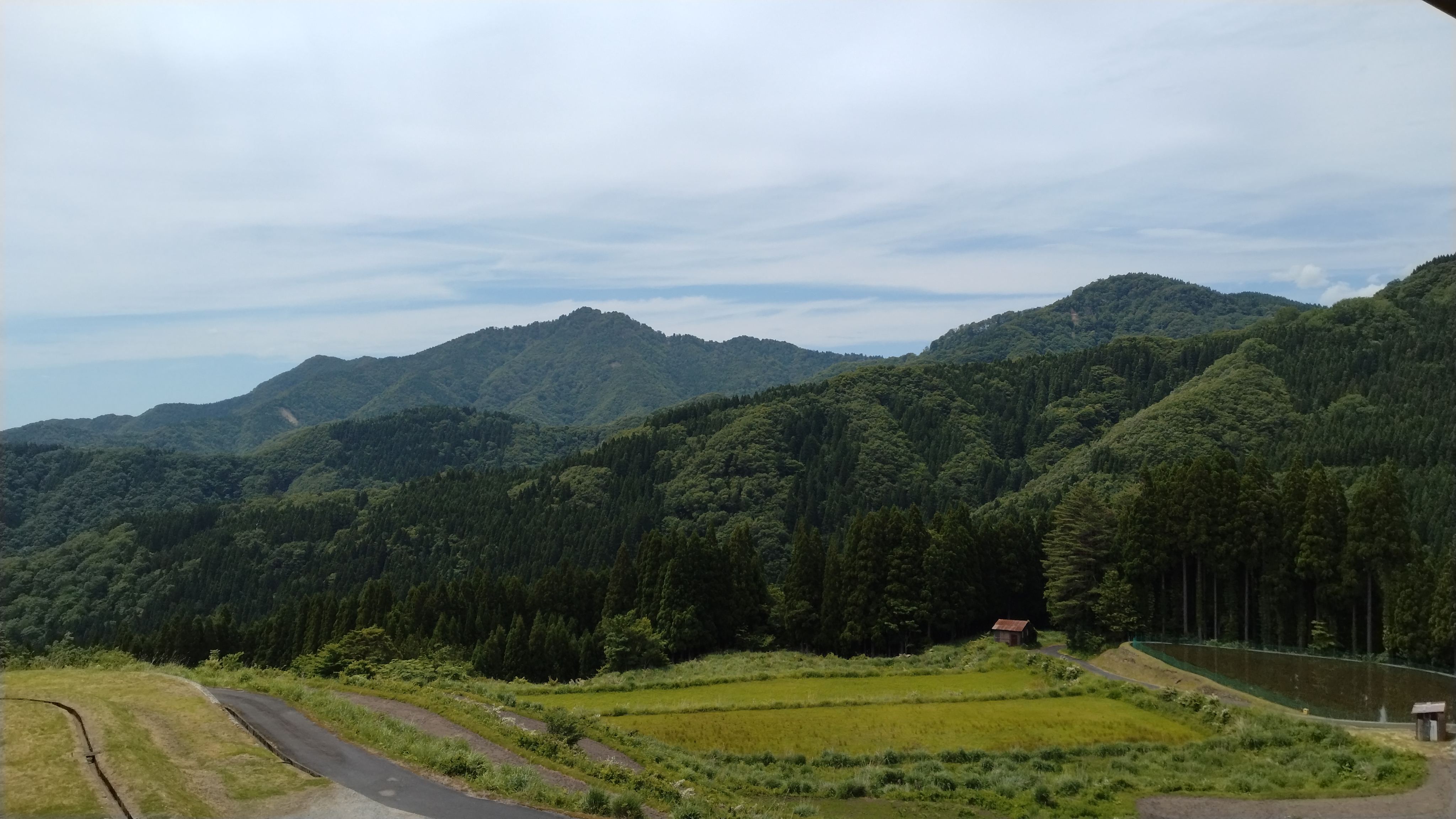 【施設からの景色】初夏
