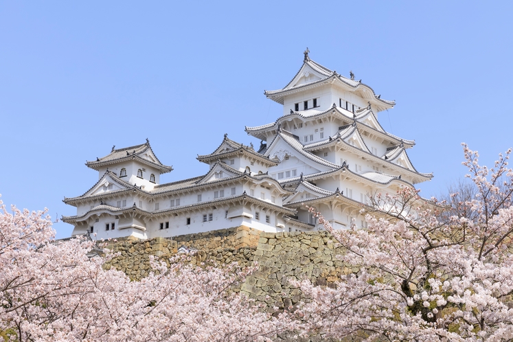 姫路城 満開の桜
