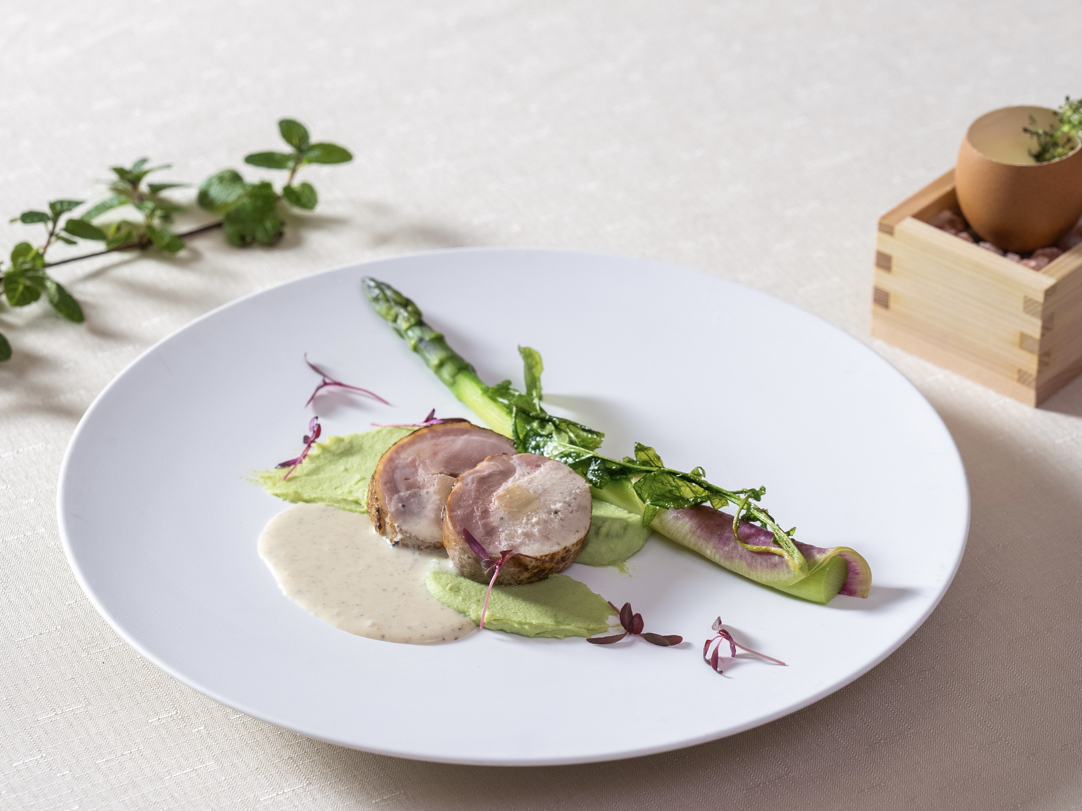 【夕食】2025春夏スペシャルディナーコース｜肉料理~森をイメージして~