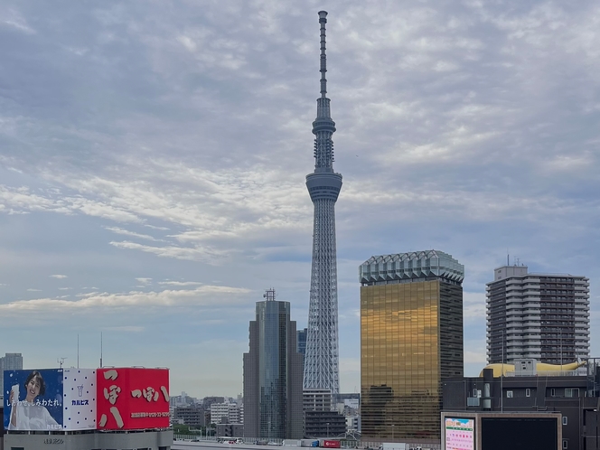 東京スカイツリー（浅草から撮影）