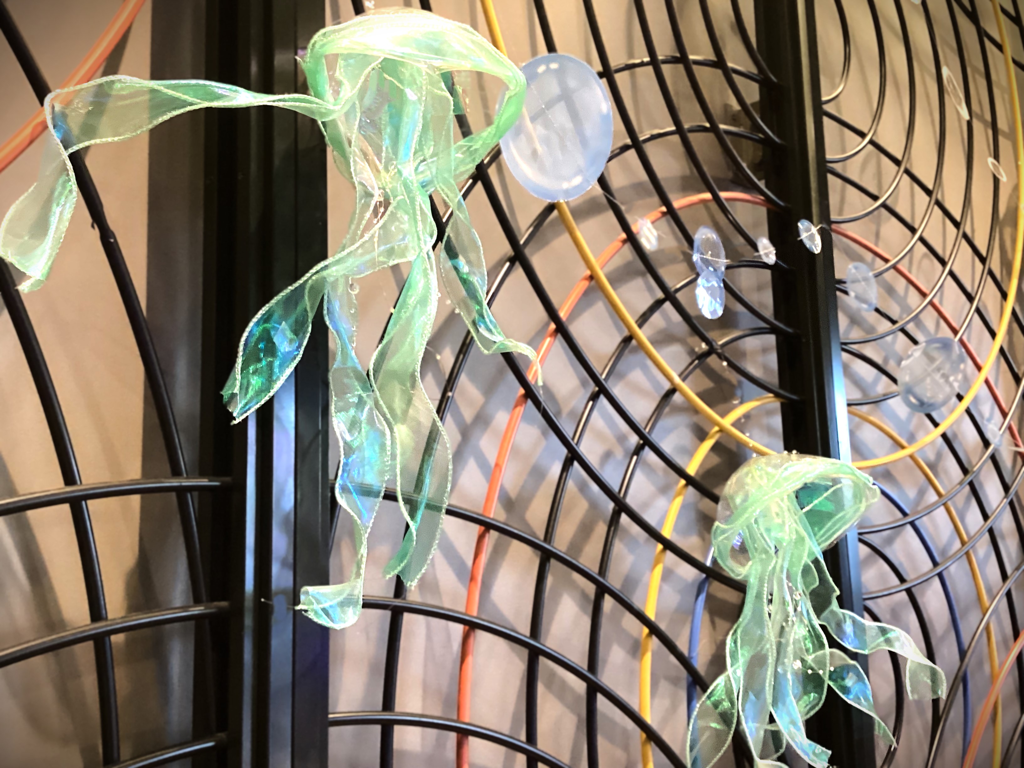 優雅に漂うクラゲがたくさん！