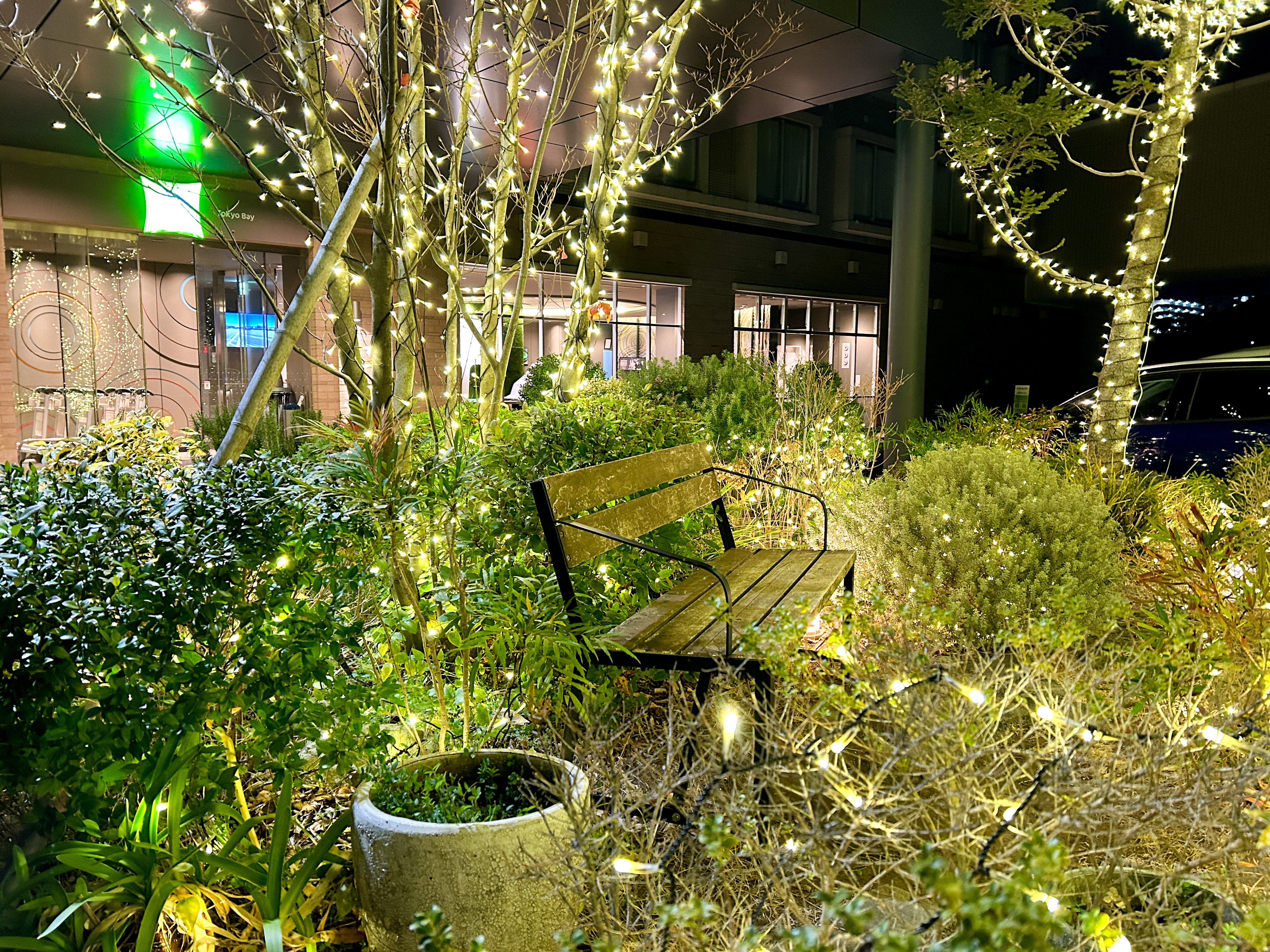エントランス前の中庭イルミネーション♪