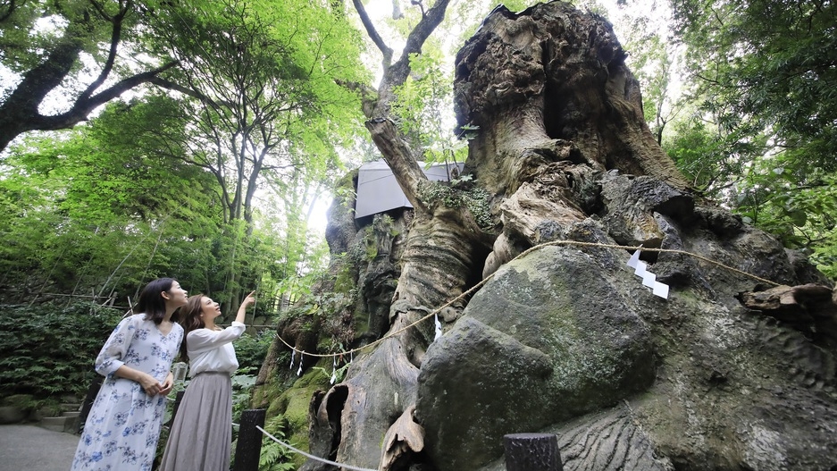【新春★パワーチャージの旅】一律16500円＆來宮神社スイーツチケットで開運祈願＜スタンダード★雅＞