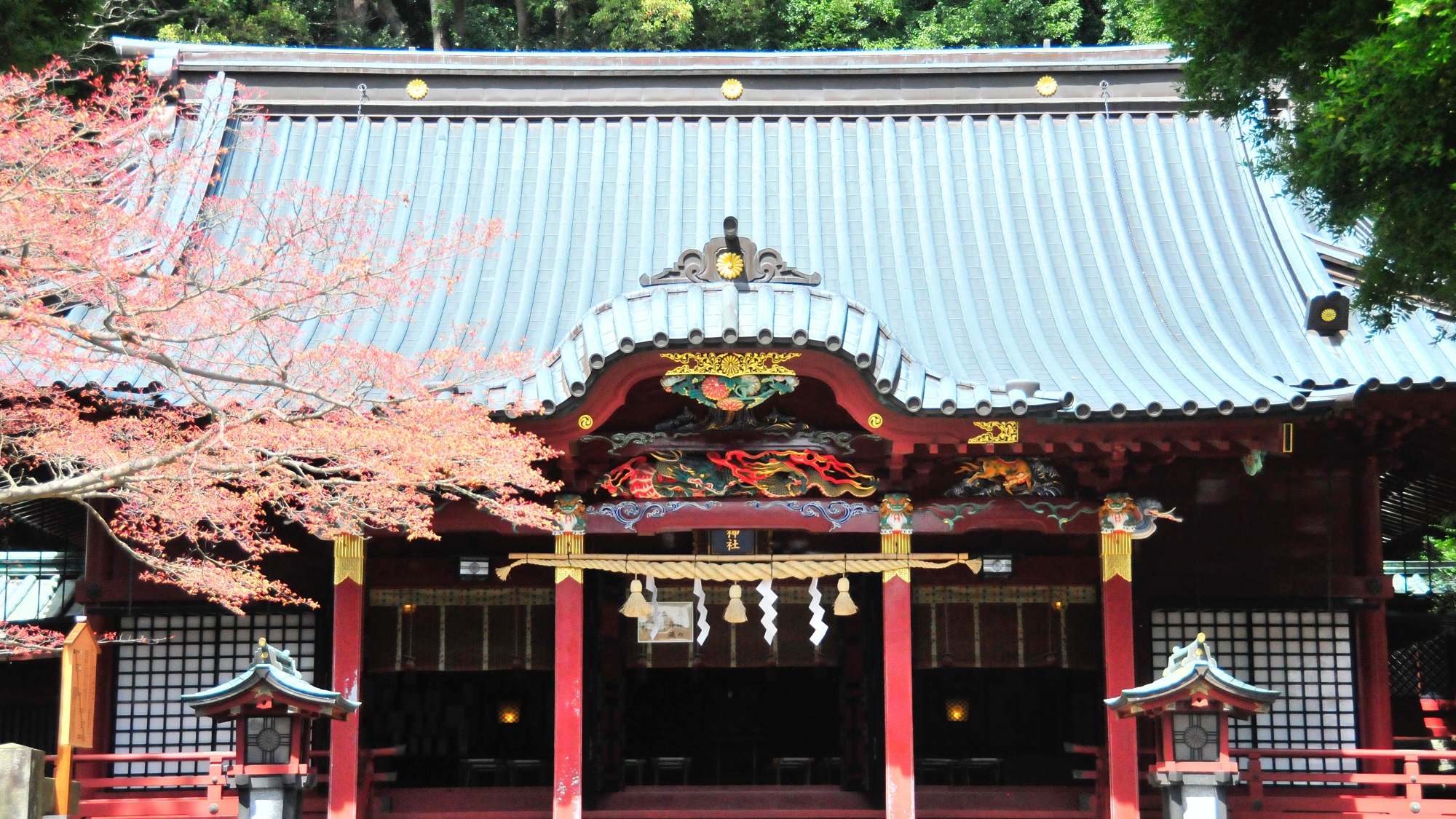 周辺観光◆伊豆山神社