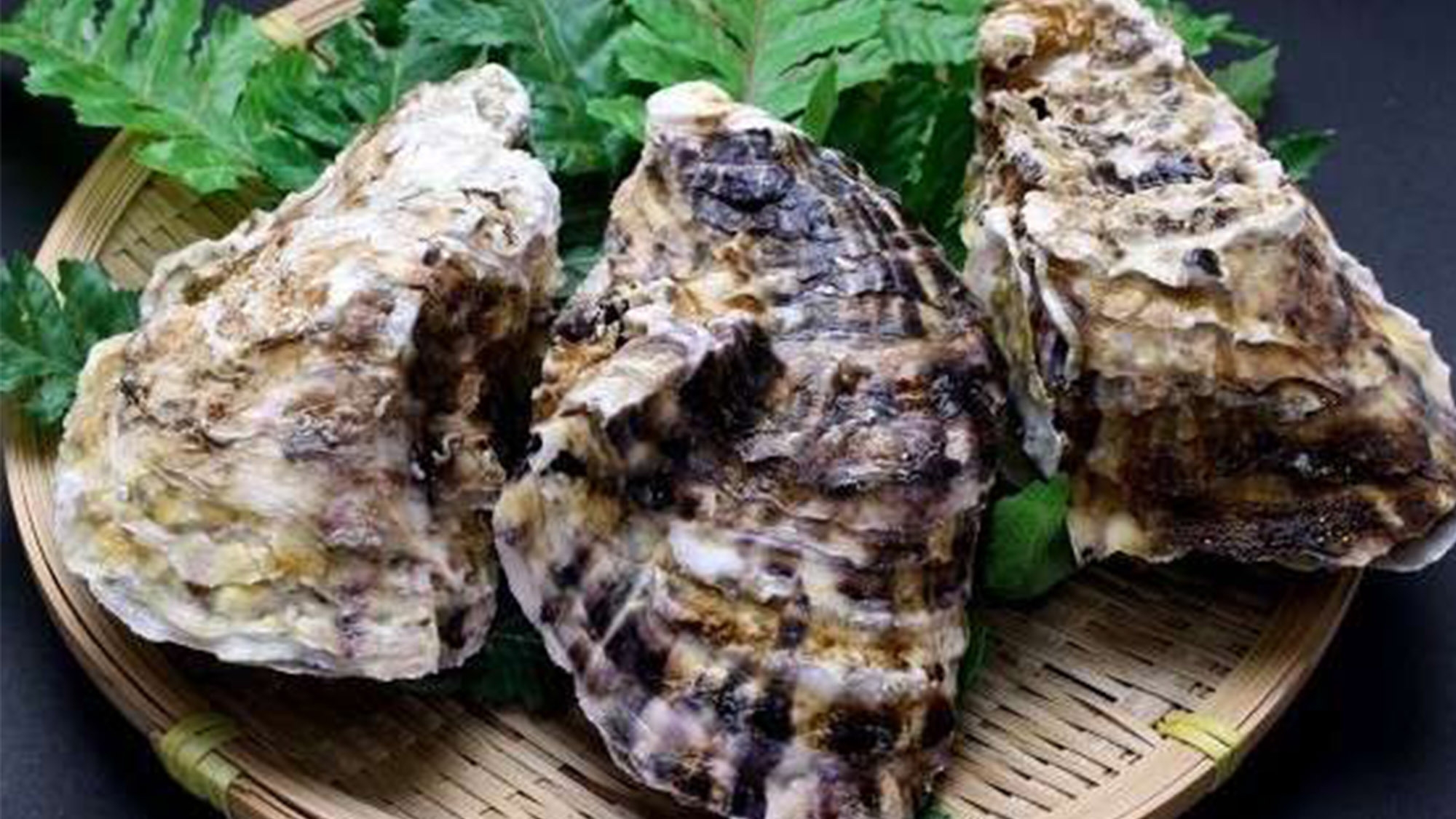 【季節の口福】冬季限定・地元広島の「大野牡蠣」を豆乳鍋・釜飯など様々な調理法で愉しむ牡蠣尽くし会席