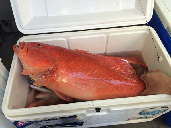 民宿 船着場 石垣島 写真 動画 楽天トラベル 民宿 船着場 石垣島 写真 動画 楽天トラベル
